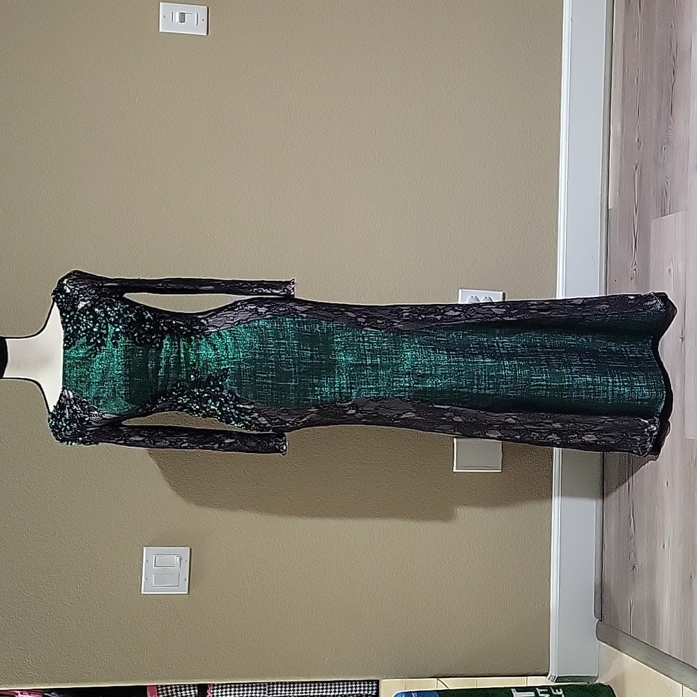 Gorgeous gown mermaid fit long sleeve (lace & beading)